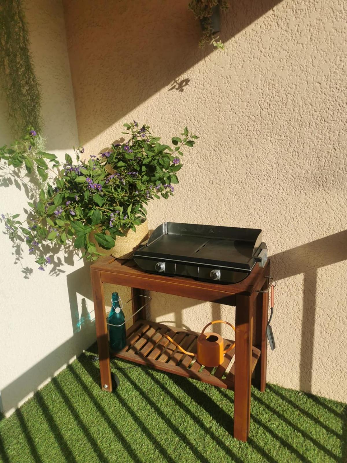 Appartement Coquillages Et Crustaces *
